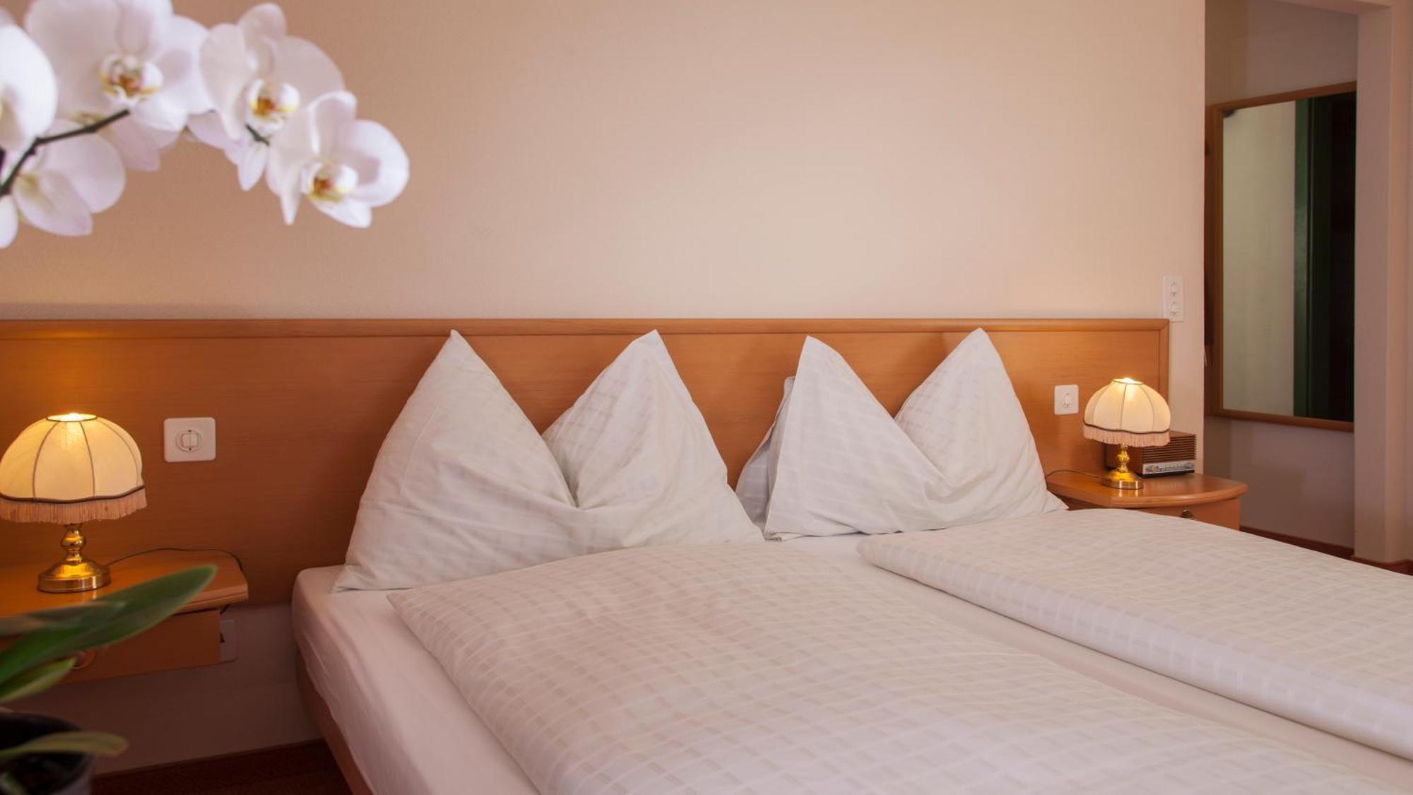 Hotel & Spa Cacciatori Cademario Room photo